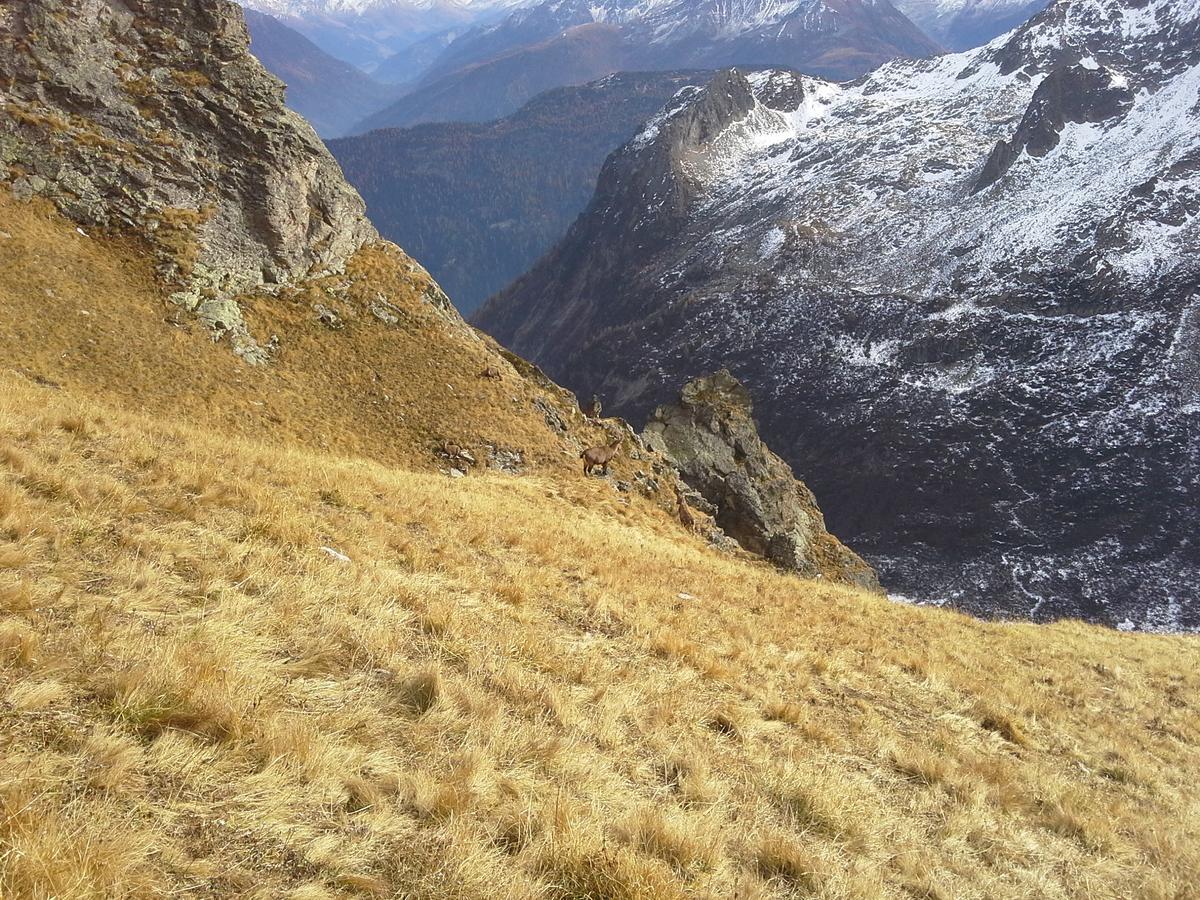 Lieu Secret Dans Les Alpes Suisses Villa Le Tretien Exterior foto